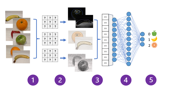 convolutional neural network