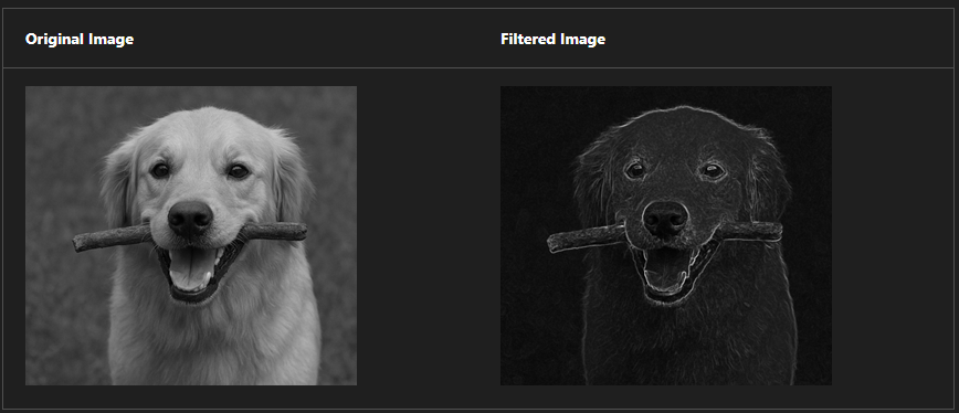filter kernel result