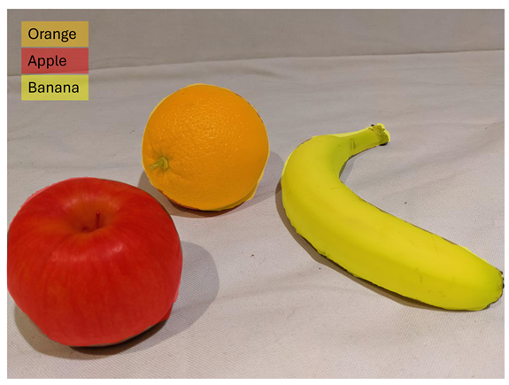 semantic segmentation example